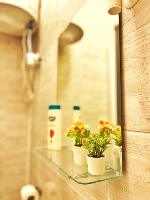 Flat Apartman